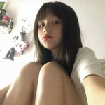 星月命运之轮破解版下载